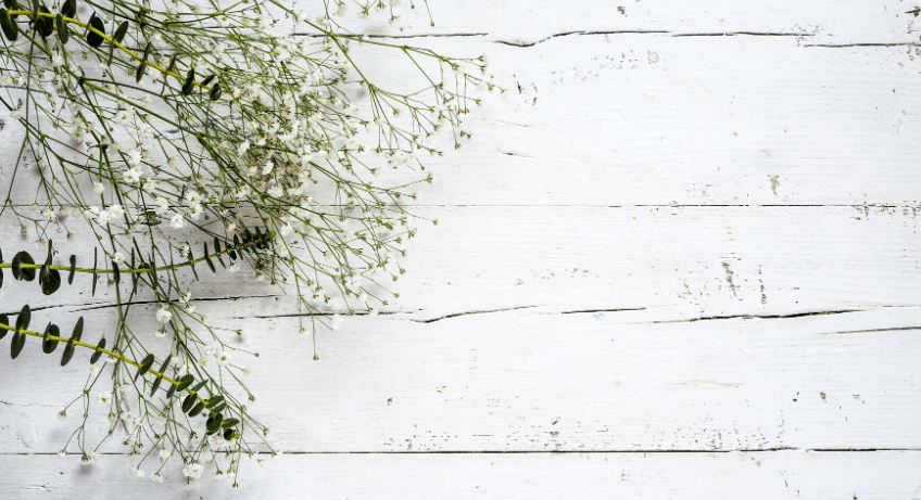frugal and floral fun