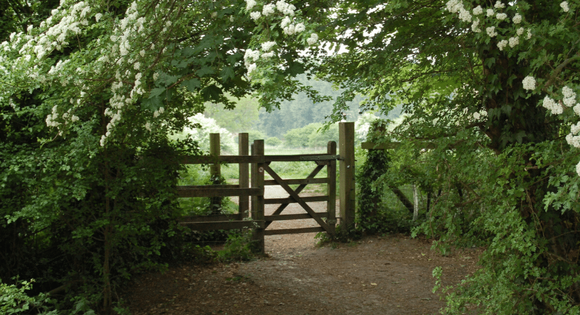 be the gatekeeper