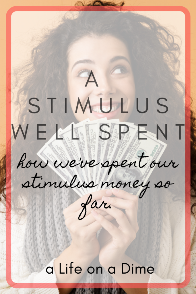how we spent our stimulus