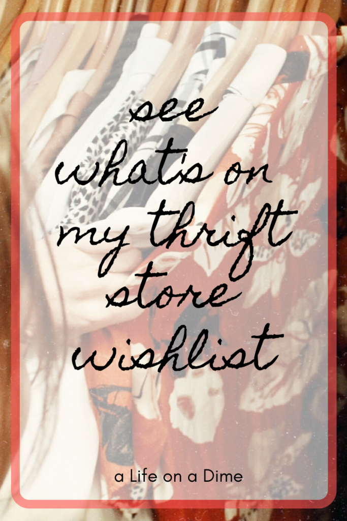 my thrift store wishlist