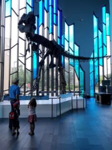 frugalish trip museum