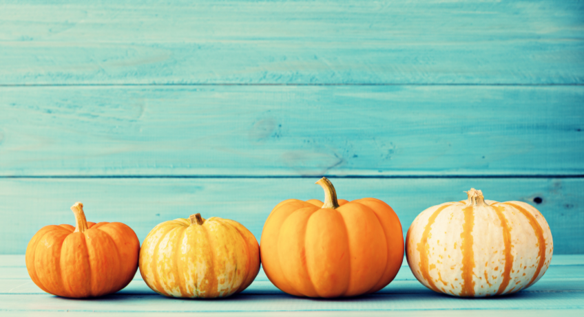 pumpkin spice recipes