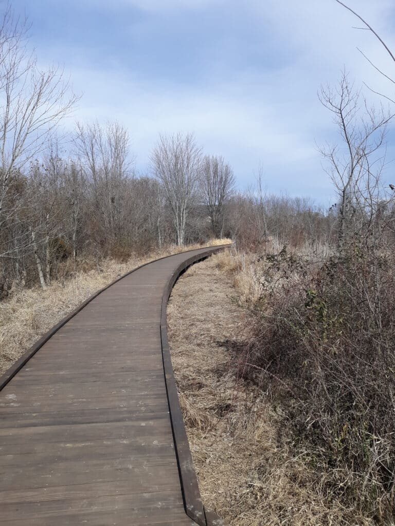 Osage Park Beaver Dam