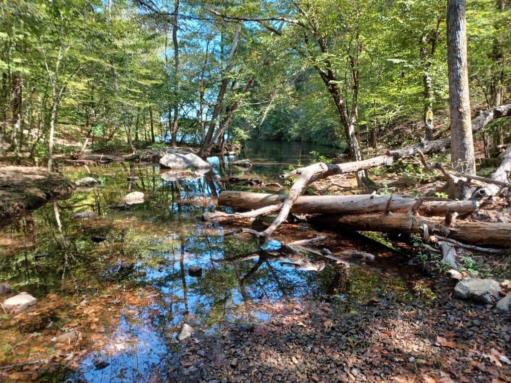 Hot Springs, AR