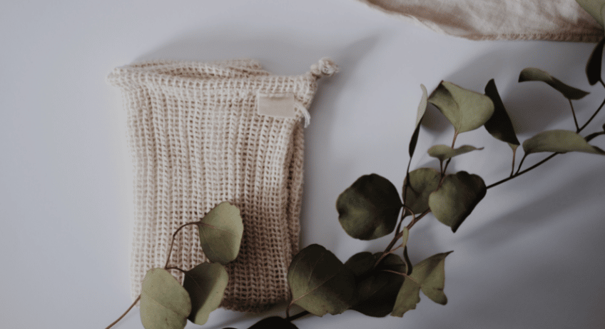 favorite sustainable brands