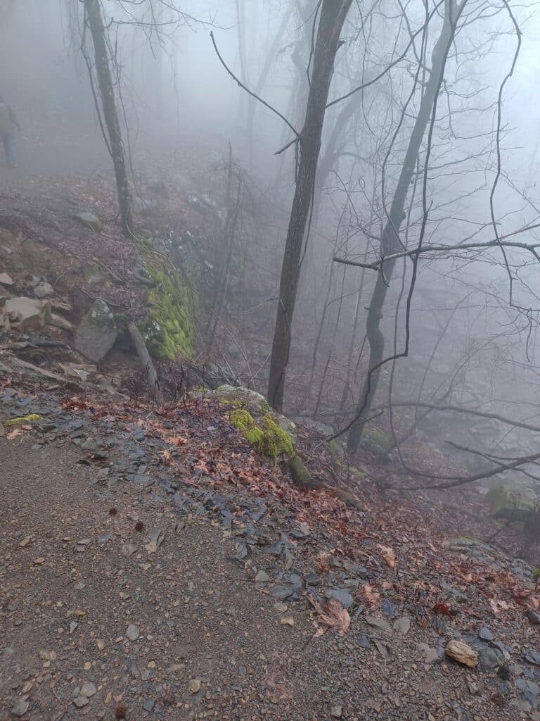 mt nebo trails
