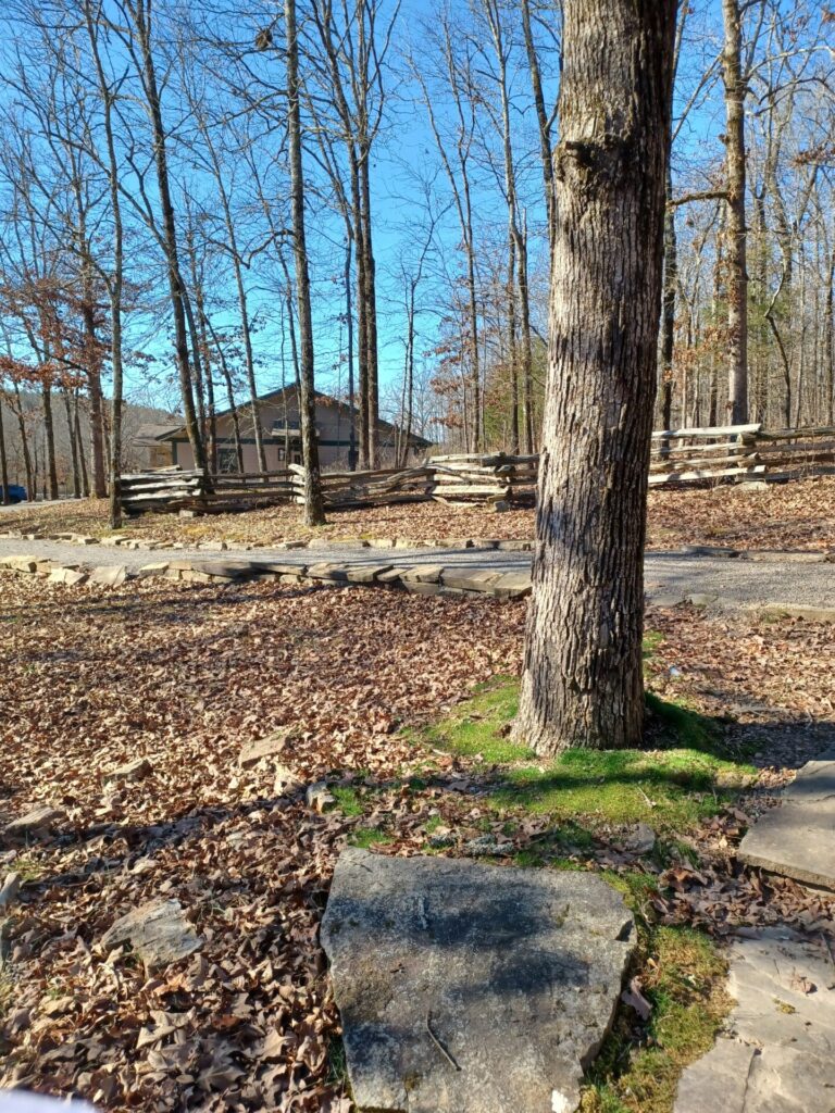 let's go: Woolly Hollow State Park